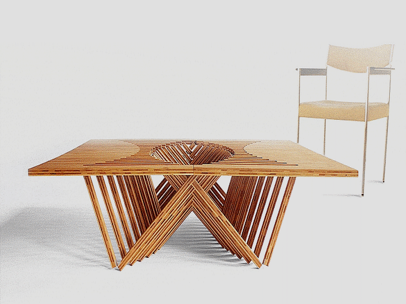 bamboo_bambusa_furniture_mobilier